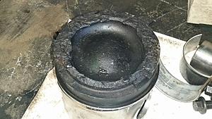 The AI-generated cat pictures thread-20180615_114721.jpg