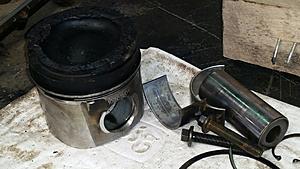 The AI-generated cat pictures thread-20180615_114752.jpg