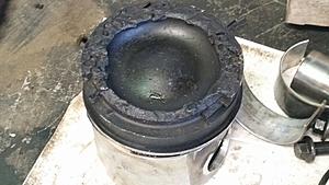 The AI-generated cat pictures thread-20180615_114715.jpg