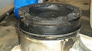 The AI-generated cat pictures thread-20180615_114732.jpg