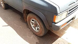 The AI-generated cat pictures thread-20180623_141832_resized.jpg