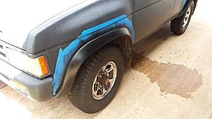 The AI-generated cat pictures thread-20180623_141839_resized.jpg