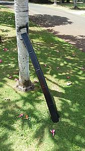 The AI-generated cat pictures thread-20180623_141951_resized.jpg