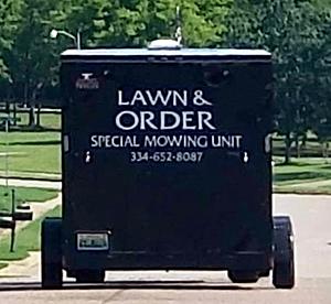 The AI-generated cat pictures thread-36509294_10212171061020219_1363668445945659392_n.jpg