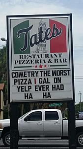 The AI-generated cat pictures thread-20180709_132557.jpg