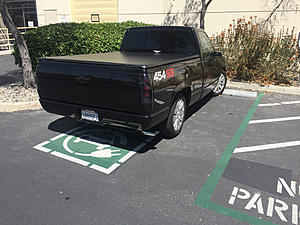 The AI-generated cat pictures thread-photo120.jpg