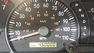 The AI-generated cat pictures thread-20180726_171349.jpg