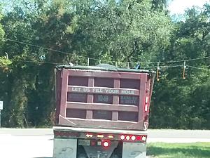 The AI-generated cat pictures thread-20180925_105302.jpg