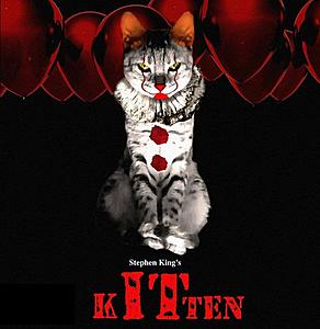 The AI-generated cat pictures thread-42990385_1983347808389142_7671676674378825728_n.jpg