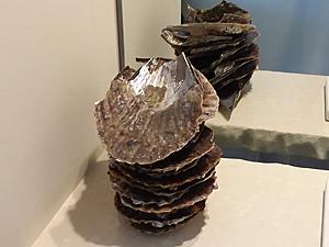 The AI-generated cat pictures thread-20180930_091222.jpg