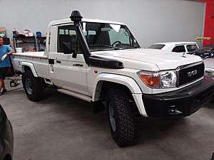 The AI-generated cat pictures thread-20181004_162325.jpg