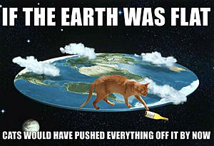 The AI-generated cat pictures thread-flat-earth-cat.jpg