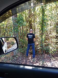 The AI-generated cat pictures thread-20181013_155952.jpg