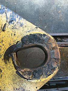 The AI-generated cat pictures thread-img_20501.jpg