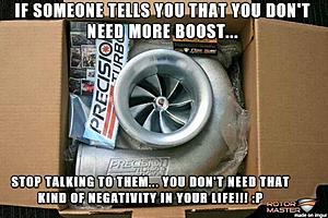 The AI-generated cat pictures thread-img_12321.jpg