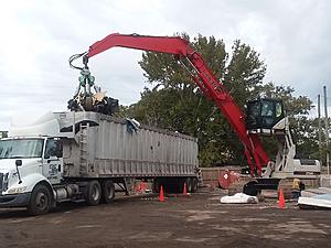 The AI-generated cat pictures thread-20181119_101510.jpg