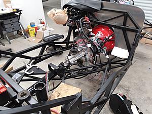 The AI-generated cat pictures thread-20181129_142457.jpg