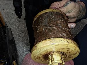 The AI-generated cat pictures thread-20181205_131010.jpg