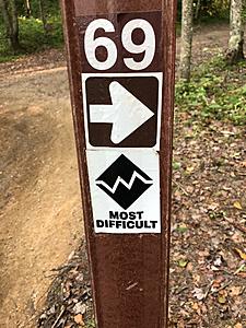 The AI-generated cat pictures thread-img_02881.jpg