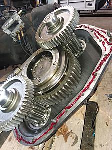 The AI-generated cat pictures thread-20181214_130614.jpg