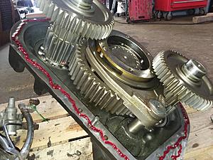 The AI-generated cat pictures thread-20181214_130703.jpg