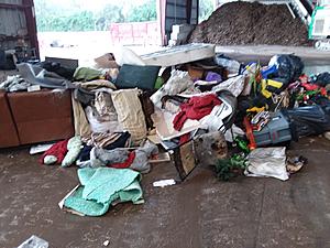 The AI-generated cat pictures thread-20181203_170439.jpg