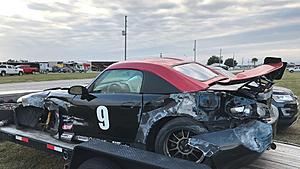 The AI-generated cat pictures thread-img_07981.jpg