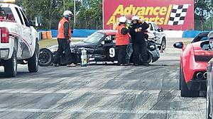 The AI-generated cat pictures thread-img_07991.jpg