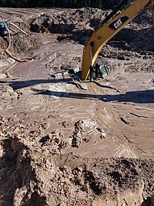 The AI-generated cat pictures thread-image0000001.jpg