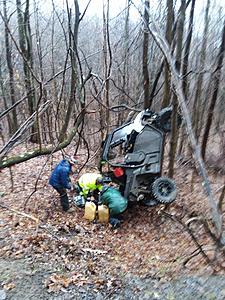 The AI-generated cat pictures thread-20190119_112413.jpg