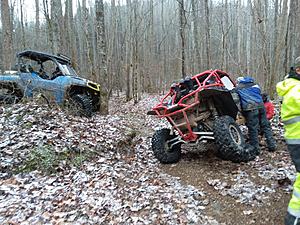 The AI-generated cat pictures thread-20190120_120914.jpg