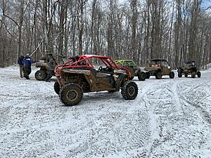 The AI-generated cat pictures thread-img_35111.jpg