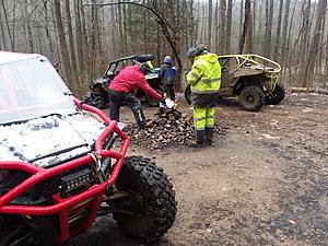 The AI-generated cat pictures thread-20190120_125113.jpg