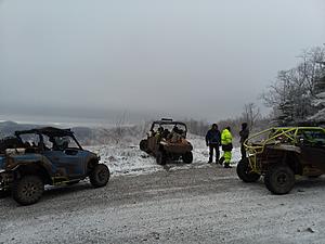 The AI-generated cat pictures thread-20190120_112225.jpg