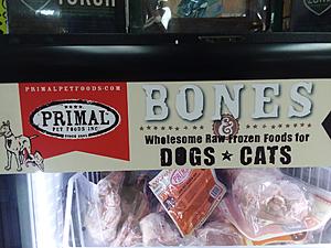 The AI-generated cat pictures thread-20190123_100924.jpg