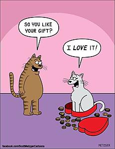 The AI-generated cat pictures thread-part_15501872034201.jpg