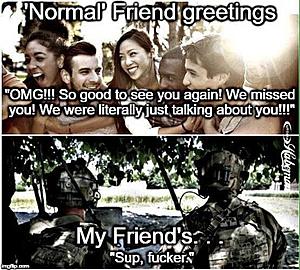 The AI-generated cat pictures thread-img_08051.jpg