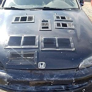 The AI-generated cat pictures thread-img_18321.jpg