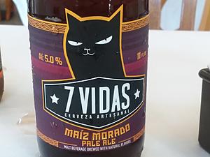 The AI-generated cat pictures thread-20190412_175654.jpg