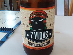 The AI-generated cat pictures thread-20190412_175726.jpg