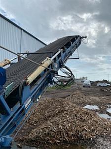 The AI-generated cat pictures thread-123_19.jpg