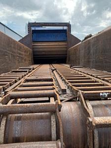 The AI-generated cat pictures thread-123_15.jpg