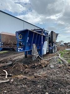 The AI-generated cat pictures thread-123_13.jpg