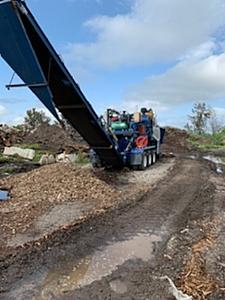 The AI-generated cat pictures thread-123_12.jpg