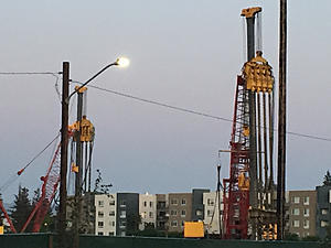 The AI-generated cat pictures thread-photo141.jpg