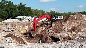 The AI-generated cat pictures thread-20190510_092249.jpg