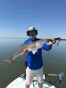 The AI-generated cat pictures thread-img_1102.jpg