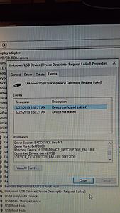 The AI-generated cat pictures thread-20190522_142330.jpg