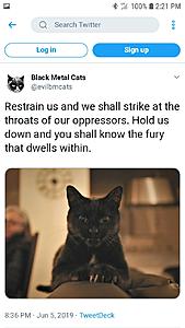 The AI-generated cat pictures thread-screenshot_20190620-142139_samsung-internet.jpg