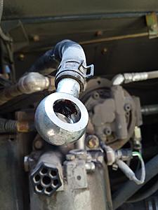 The AI-generated cat pictures thread-resized_20190717_110549_7997.jpg